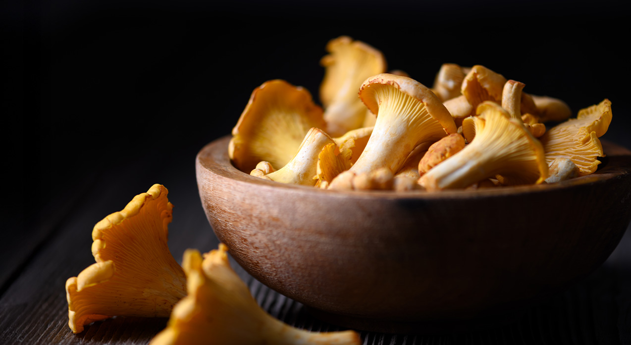 Chanterelle Mushrooms
