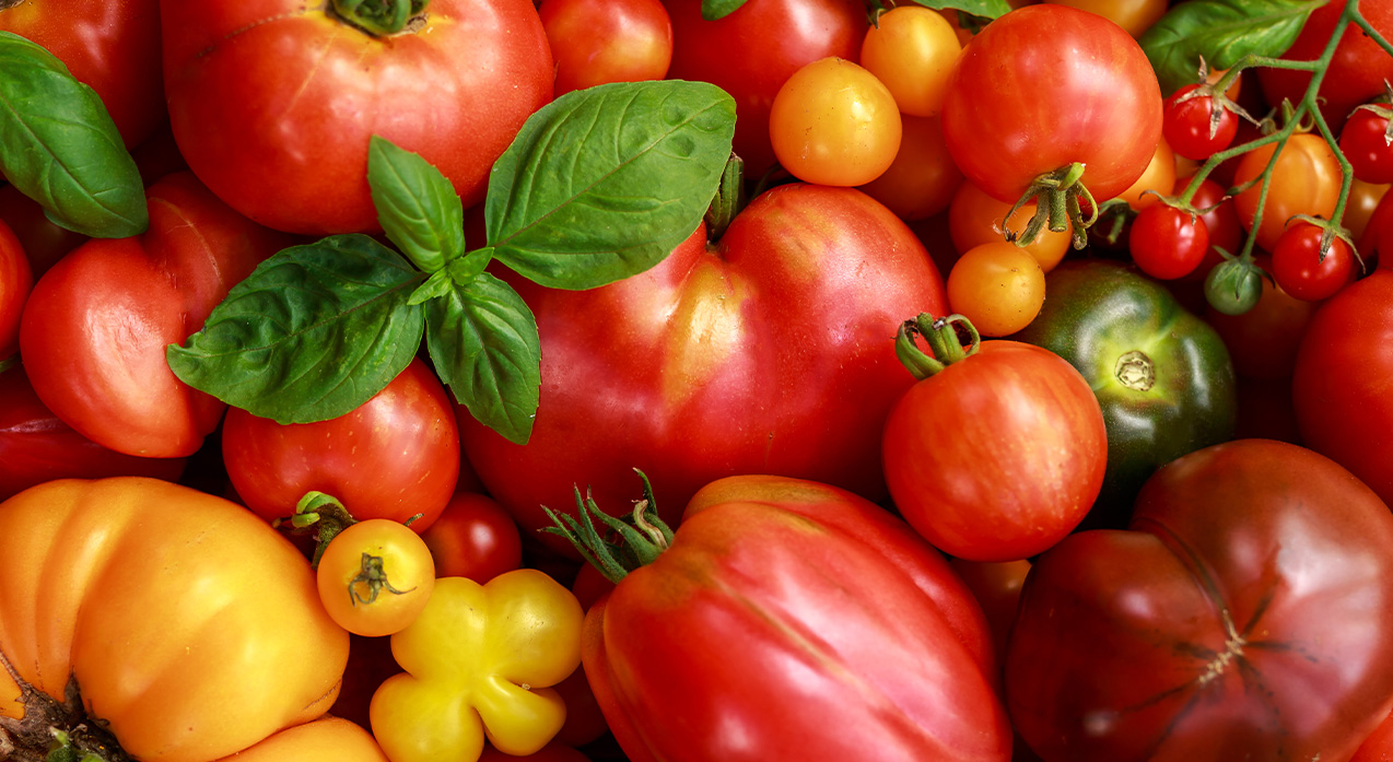 tomatoes and basil
