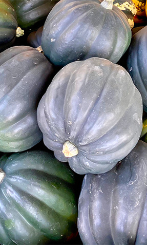 Acorn Squash