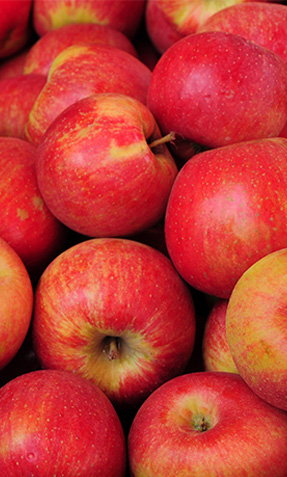 apples