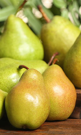 Barlett Pears